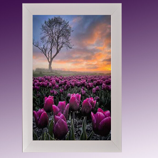 Photo-Frame-119LL-set-of-1,