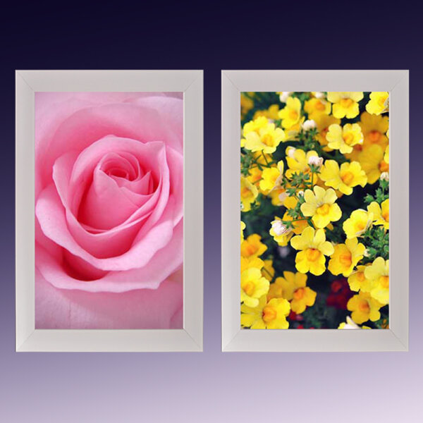 Photo Frame 119LL set of 2,