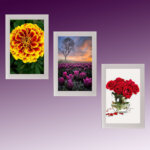 Photo Frame 119LL set of 3,