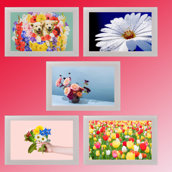 Photo Frame119LL set of 5,